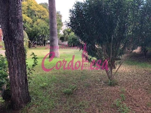 Piso en venta en Córdoba, Alcolea photo 0