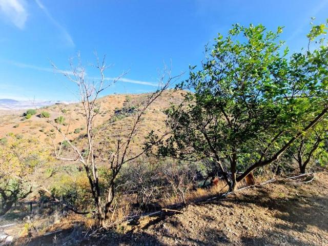 Casa con terreno en venta en Almogía, BARRANCO DEL SOL photo 0
