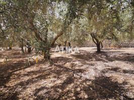 Terreno en venta en Ontinyent, Cami la Polvora photo 0