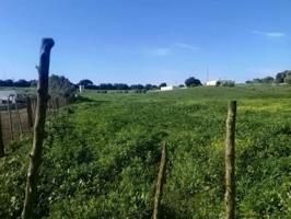 Terreno en venta en Vejer de la Frontera, LA MUELA photo 0