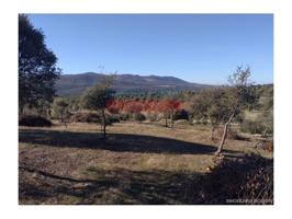 Chalet en venta en Fresnedoso de Ibor photo 0