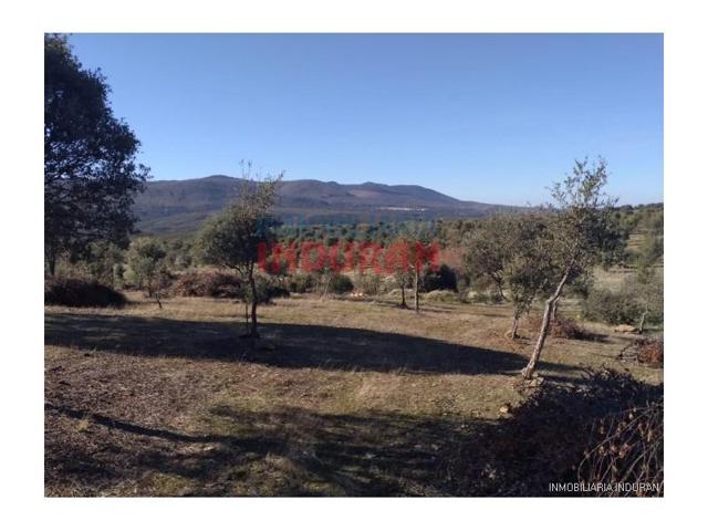 Chalet en venta en Fresnedoso de Ibor photo 0