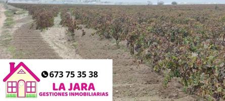 Terreno en venta en Sanlúcar de Barrameda, El Espejo, 11540 photo 0