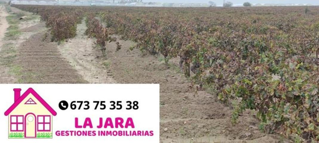 Terreno en venta en Sanlúcar de Barrameda, El Espejo, 11540 photo 0