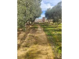 Casa con terreno en venta en Albatàrrec photo 0