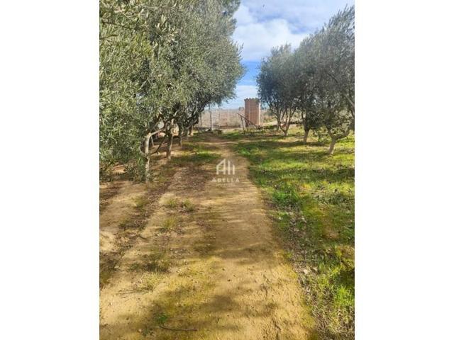 Casa con terreno en venta en Albatàrrec photo 0