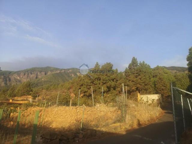 Terreno en venta en Arafo, Arafo photo 0