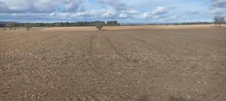 Terreno en venta en Ayora, Comunidad valenciana photo 0