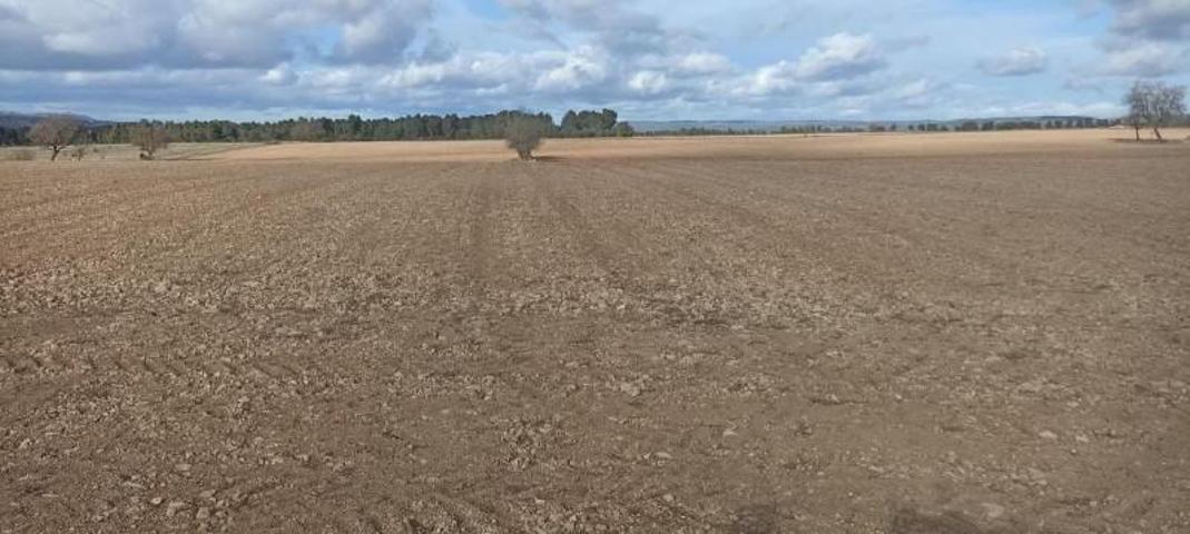 Terreno en venta en Ayora, Comunidad valenciana photo 0