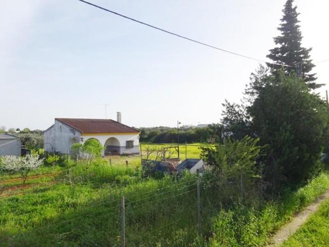 Chalet en venta en Sanlúcar la Mayor, Andalucia photo 0