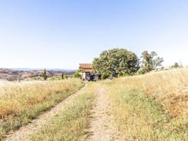 Casa con terreno en venta en Zalamea la Real photo 0