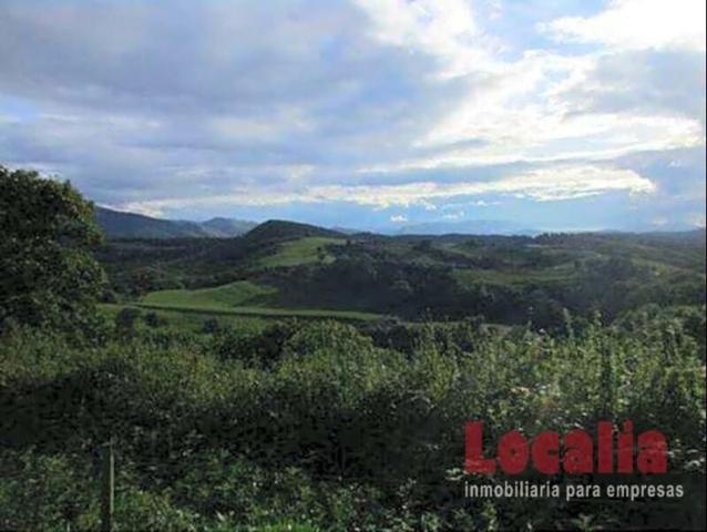 Terreno en venta en Reocín photo 0