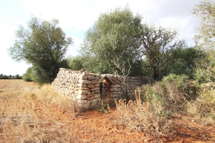 Terreno en venta en Felanitx, Son mesquida photo 0