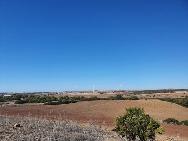 Terreno en venta en Chiclana de la Frontera, Carretera de medina photo 0