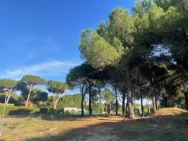 Terreno en venta en Boecillo, PAGO LA BARCA photo 0