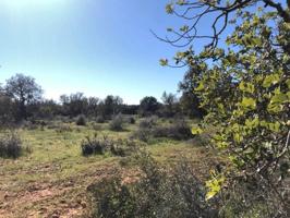 Terreno en venta en Porreres, Porreres photo 0