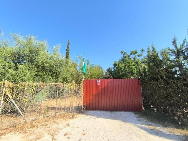 Casa con terreno en venta en Utrera, Pedanías Norte photo 0