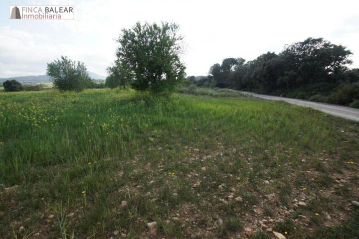 Terreno en venta en Algaida, Algaida photo 0