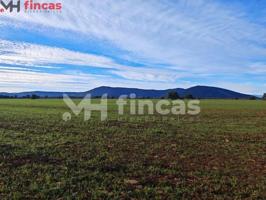 Terreno en venta en Belvis de la Jara, Belvís de la Jara photo 0