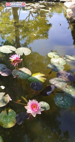 Chalet en venta en Alcázar de San Juan, ALAMEDA DE CERVERA photo 0