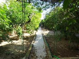 Adosada en venta en Olivares, Centro photo 0