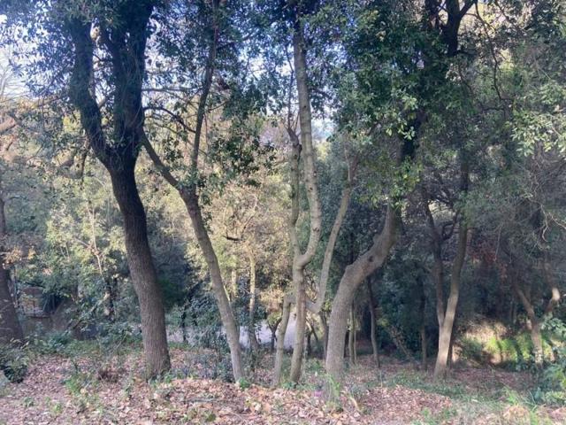 Terreno en venta en Sant Cugat del Vallès, La Floresta photo 0