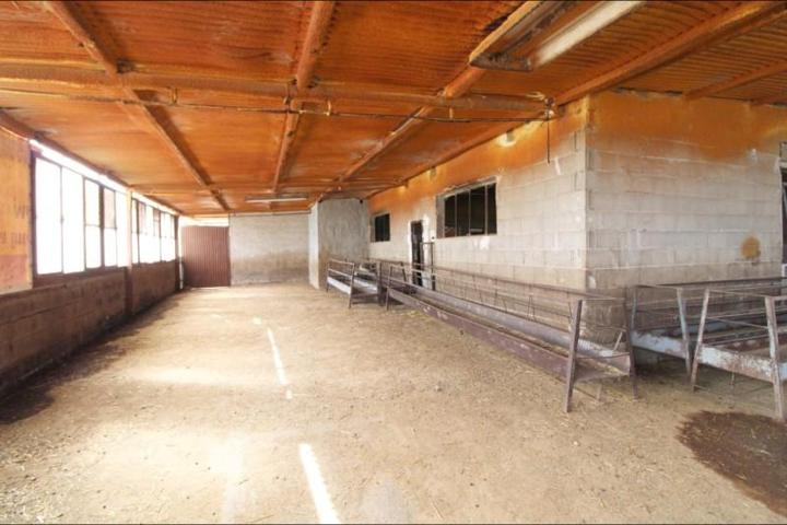 Casa con terreno en venta en Aspe, Huerta mayor photo 0