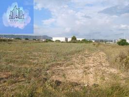 Terreno en venta en Catadau, Pol. Cami Oliveres photo 0