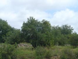 Terreno en venta en Altafulla, Altafulla -Urb. brisas del Mar photo 0