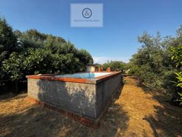 Chalet en venta en Candeleda photo 0