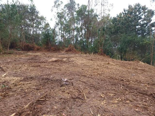 Terreno en venta en Arteixo, Loureda-Lañas-Barrañán photo 0