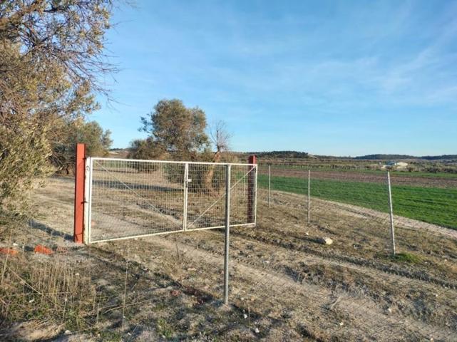 Terreno en venta en Torrejón de Velasco, Torrejón de Velasco photo 0