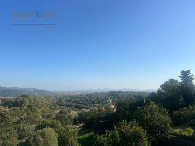 Terreno en venta en Campanet photo 0