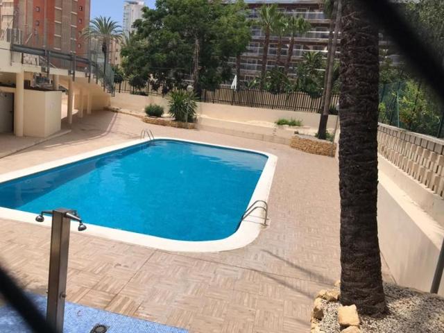 Apartamento en venta en Benidorm, Benidorm photo 0