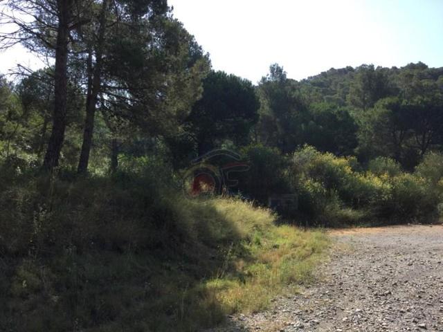 Terreno en venta en Palamós photo 0