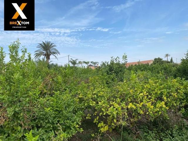 Terreno en venta en Murcia, La Arboleja photo 0