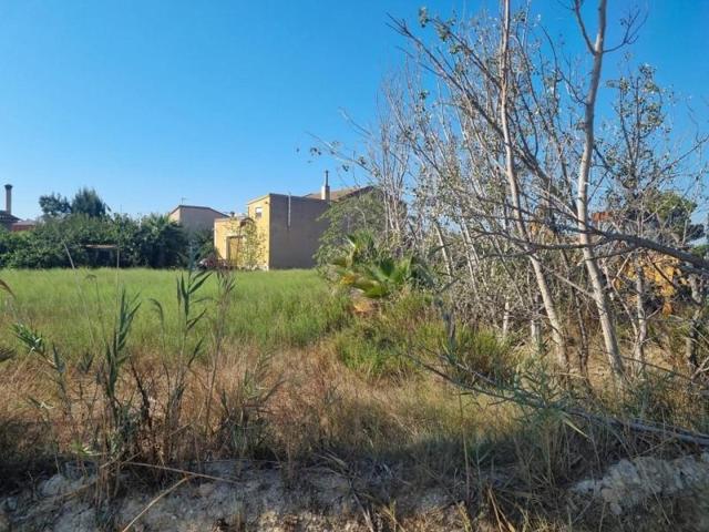 Terreno en venta en Deltebre, La cava photo 0