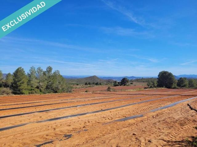 Terreno en venta en Montesa photo 0