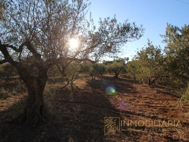 Terreno en venta en Alhaurín de la Torre photo 0