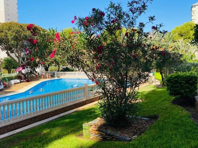 Apartamento en venta en Benidorm, Rincón de Loix photo 0