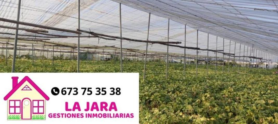 Terreno en venta en Sanlúcar de Barrameda, La Loma Baja, 11540 photo 0
