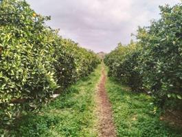 Chalet en venta en Picassent, Comunidad valenciana photo 0