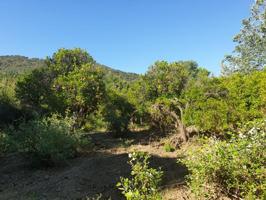 Chalet en venta en Gaucín photo 0