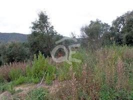 Terreno en venta en Calonge photo 0