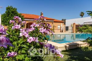 Chalet en venta en Marchena, Venta El Monje photo 0