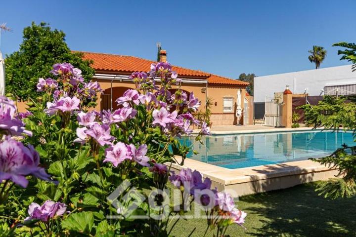 Chalet en venta en Marchena, Venta El Monje photo 0