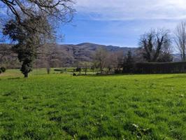 Terreno en venta en Ruente, Ucieda photo 0