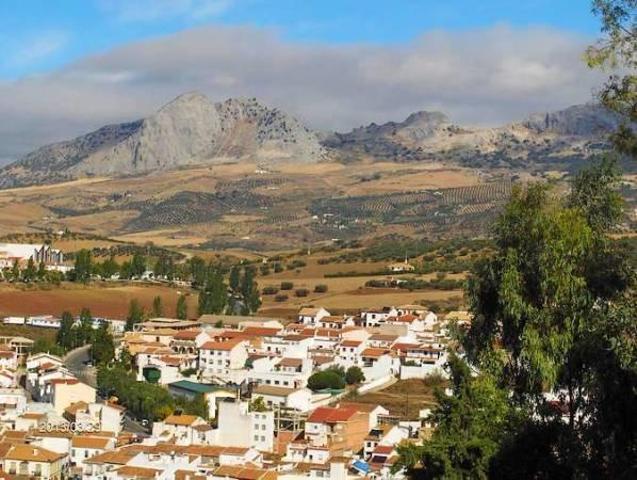 Casa en venta en Colmenar, Centro photo 0