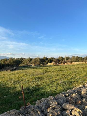 Chalet en venta en Sineu, Área de Sineu photo 0