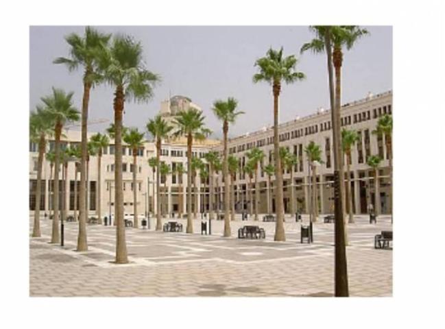 Piso en venta en El Ejido, Centro ejido photo 0